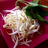 ผักเคียงฟรี