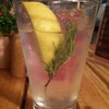 Monkey 47 Gin & Tonic