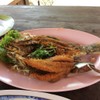 ปลากระพงทอดน้ำปลา
