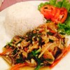 ข้าวราดปลาช่อนผัดคื่นช่าย