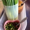 ต้นหอมม