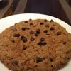 chocolate chip cookie