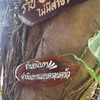 ไม่มีสาขา