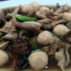 กระเพาะหมูผัดเกี่ยมไฉ่