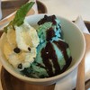 Mint Chocolate chip Gelato