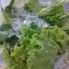 ผักสดมาเคียงข้าง