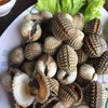 หอยแครงลวก - ครทวนี้ตัวไม่ค่อยโต