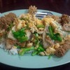 ข้าวแห้งปลา+ไข่ปลา 60 บาท ของสด อร่อย รสออกเค็มๆ