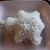 ข้าวเต่า