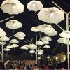 บรรยากาศสไตล์การตกแต่งของร้าน