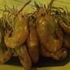 กุ้งเผา