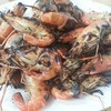 กุ้งเ ผา