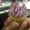  Blueberry Surprise