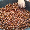 เม็ดโตกำลังดีครับ