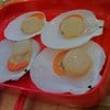 หอยเชลล์