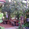 ส้มตำยอดมะพร้าวของที่ร้าน