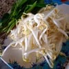ผักฟรี