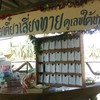 เสี่ยงทายตามเลขใต้ชาม