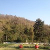 วิวช่วงฤดูร้อน
