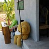 หลังร้าน