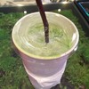 Green Tea 