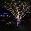 บรรยากาศยามค่ำคืน
