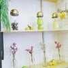 ตกแต่งด้วยผลไม้สีสันสดใส