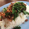 ไข่เยี่ยวม้ากระเพรากรอบ 40 บาท