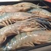กุ้งแม่น้ำ