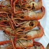 กุ้งเผา