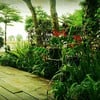 รอบๆร้าน ต้นไม้เยอะ