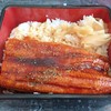 Unagi Don