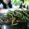 ปลาช่อนห่มกระเชด
