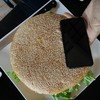 เทียบกับ iPhone 6