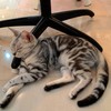 หวงเก้าอี้เสียด้วย^^