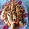 กุ้งเผา