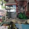 สั่งละรอ