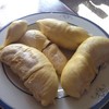 หมอนทองผลแก่ สุก แห้งกำลังกิน