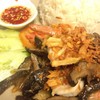 ข้าวหน้ากุ้งกระเทียมราดซอสเห็ดหอม