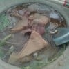 ฮั้ว โภชนา