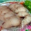 ปลาหมอทะเลซาชิมิ