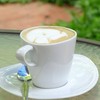 Hot Cappuccino 55.-
