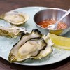 Oysters สด