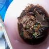 หมูตุ๋นน้ำตก