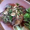 ปลาน้ำตก