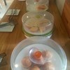 ขนมปัง