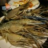 กุ้งแม่น้ำ