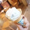 Fujiyama Cafe'