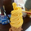 Mango Delight