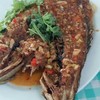 ปลาเก๋าราดพริก